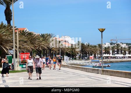 Touristen zu Fuß entlang der Palm Tree Avenida dos Descobrimentos mit Boote auf dem Fluss Bensafrim, Lagos, Algarve, Portugal, Europa gesäumt. Stockfoto