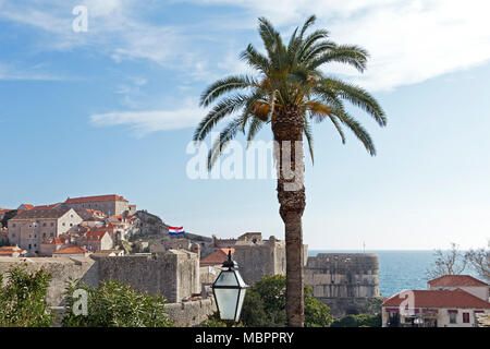 Stadtmauer in der Nähe von Pile Gate, Altstadt, Dubrovnik, Kroatien Stockfoto