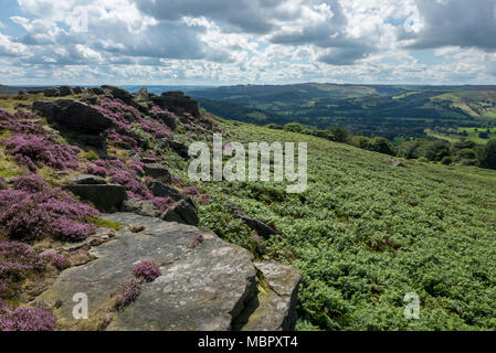 Tag Sommer am Carhead Felsen in der Nähe von Hathersage im Peak District National Park, Derbyshire, England. Stockfoto