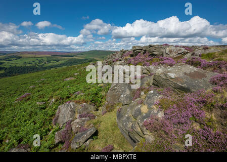 Tag Sommer am Carhead Felsen in der Nähe von Hathersage im Peak District National Park, Derbyshire, England. Stockfoto