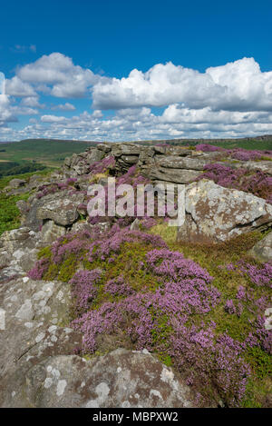 Tag Sommer am Carhead Felsen in der Nähe von Hathersage im Peak District National Park, Derbyshire, England. Stockfoto