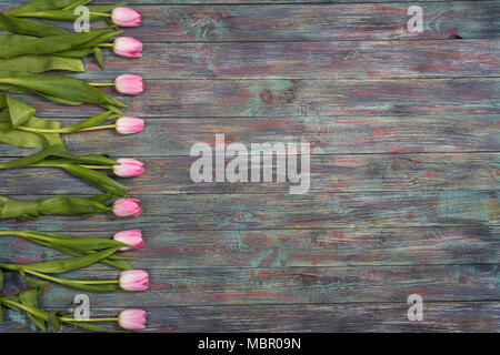 Grenze von frischem rosa Frühling Tulpen in einer Reihe auf rustikalen multicolor Holzbretter angeordnet. Mit Platz kopieren Stockfoto