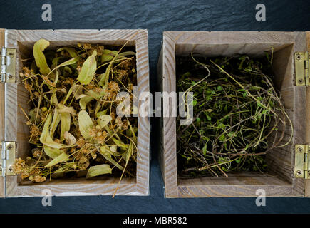 Alte Kisten mit trockenen Kräutern auf blauen Stein Hintergrund Oberfläche Stockfoto