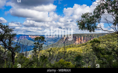 Blick auf das Grose Valley in den blauen Bergen von den Glocken der Straße auf der nördlichen Böschung des Explorer, Blue Mountains National P Stockfoto