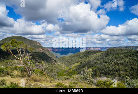 Blick auf den Basalt Cap 1049 m Berg Banken im Explorer Bereich der Blue Mountains vor dem Hintergrund der Böschung der Grose Valley, Blau Stockfoto