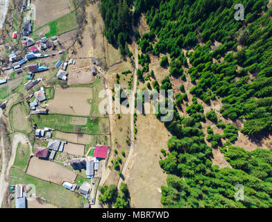 Luftaufnahme von Wald und Dorf im Hinterland von Petru Voda, Rumänien Stockfoto