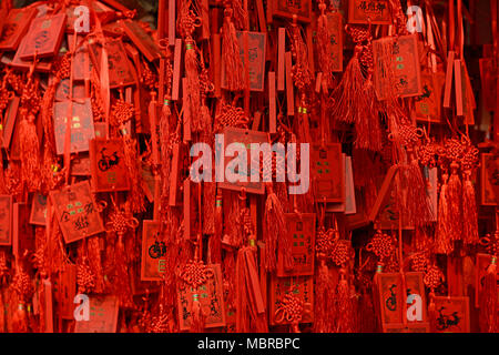 Viele rote, die Karten hängen von einem Baum in Dongyue Tempel, Ostmittel- Peking, China