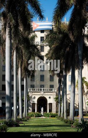 Reihe von Palmen vor dem Hotel Nacional von Kuba vor dem Eingang in Havanna, Kuba. Stockfoto