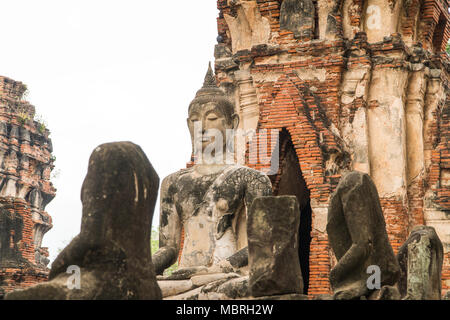 Buddha Statue im Tempel Wat Mahathat in Ayutthaya, Thailand. Stockfoto