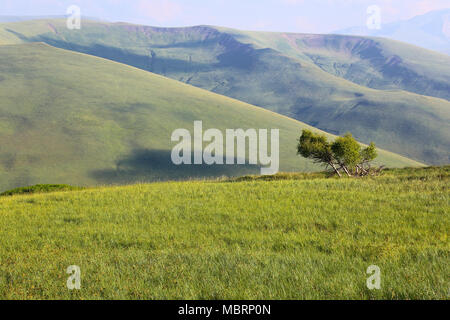 Ländliche Landschaft von korab Koritnik Naturpark in Albanien an der Grenze zu Mazedonien und Kosovo Stockfoto