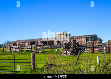 Alte verwitterte Scheune in Disrepair auf Ranch Stockfoto