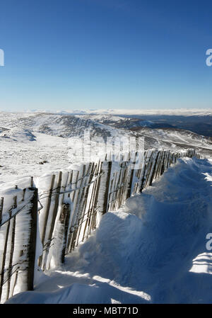 Cairngorm Mountain Ski Resort in Schottland Stockfoto