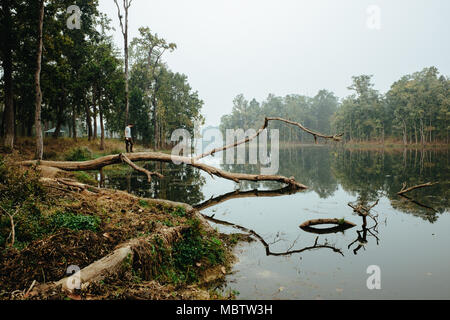 Mann stand auf der gebrochenen Baum über See in nebligen Wald. Nepal, Chitwan Stockfoto