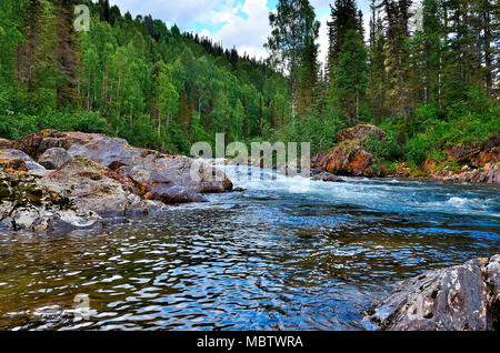 Schönen sonnigen Sommer Landschaft. Schnell fließenden Gebirgsfluss unter dichten Wäldern und riesigen Steinen Stockfoto