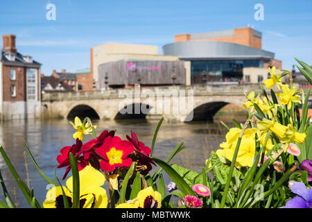 Frühling Blumen in Blumenkästen mit walisischen Brücke über den Fluss Severn darüber hinaus. Fokus auf Blumen. Shrewsbury, Shropshire West Midlands England Großbritannien Großbritannien Stockfoto