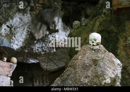 Faule Särge, Wächter der Toten (Tau-Tau's) und menschlichen Schädeln in der Tampang Allo Beerdigung Höhle, Sulawesi, Indonesien Stockfoto