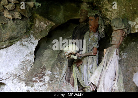 Die wächter der Toten (Tau-Tau's) Holding einen menschlichen Schädel in der Tampang Allo Beerdigung Höhle, Sulawesi, Indonesien Stockfoto