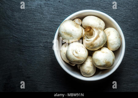 Raw champignon Champignon (Agaricus bisporus). Florianopolis, Santa Catarina, Brasilien. Stockfoto