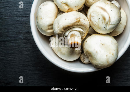 Raw champignon Champignon (Agaricus bisporus). Florianopolis, Santa Catarina, Brasilien. Stockfoto