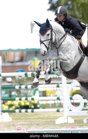 Laura Kraut (USA), Cedric, Winter Equestrian Festival, Wellington, Florida, März 2007, Mittlere Tour Final 1,50 Classic Stockfoto