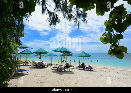 Idyllischen Blick auf einen Sandstrand mit Sonnenschirmen und Liegestühlen, Green Island, Great Barrier Reef, Far North Queensland, Queensland, FNQ, GBR, Australien Stockfoto