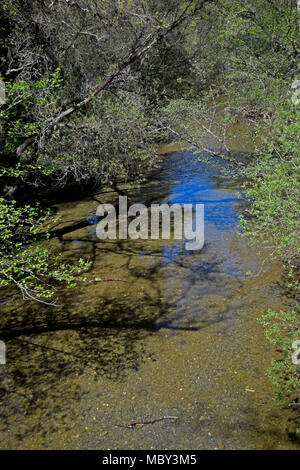 Alameda Creek, Sunol Regional Wilderness, Kalifornien, Stockfoto