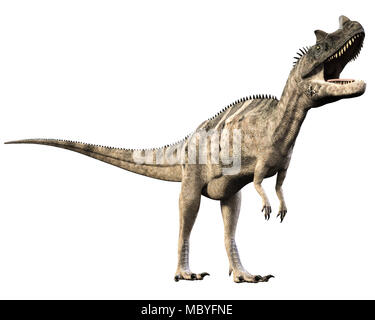 Cerataurus Dinosaurier wie ein Tyrannosaurus Rex. Fleischesser Zweibeiner. Stockfoto