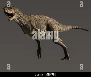 3D-Rendering eines großen kreidezeit Predator namens Carnotaurus Sastrei Stockfoto