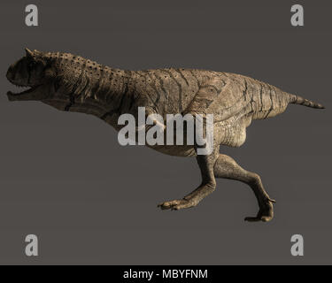 3D-Rendering eines großen kreidezeit Predator namens Carnotaurus Sastrei Stockfoto