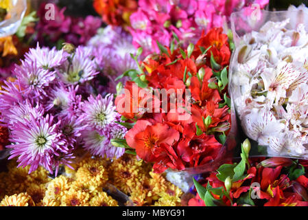 CUZCO, PERU - 29. März 2018: Bunte Blumen für den Verkauf auf der einen Stall im Mercado San Pedro Markt Stockfoto