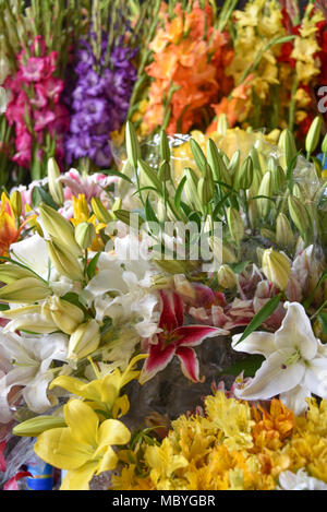 CUZCO, PERU - 29. März 2018: Bunte Blumen für den Verkauf auf der einen Stall im Mercado San Pedro Markt Stockfoto