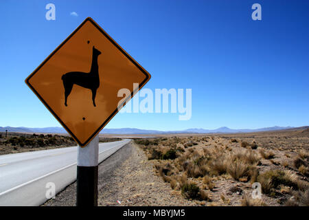 Lamas vor: Typische Verkehrszeichen auf der Beifahrerseite eine Autobahn durch die Salinas y Aguada Blanca nationale Reserve, die in den peruanischen Anden Stockfoto
