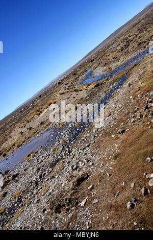 Eine Herde von wild lebenden Alpakas weiden auf einer Hochebene in der Salinas y Aguada Blanca nationale Reserve in den Anden von Peru Stockfoto