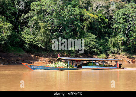 Banane Transport Boot im Regenwald des Amazonas, Tambopata National Reserve, Puerto Maldonado, Peru Stockfoto