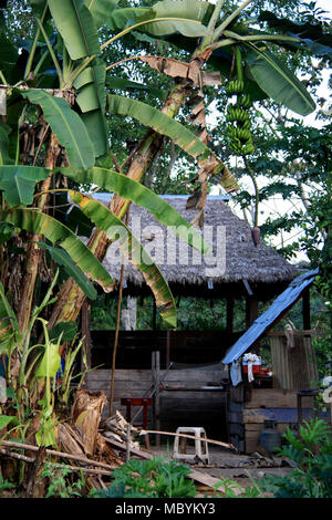 Ein sehr einfaches Bauernhaus mitten im Regenwald des Amazonas, Tambopata National Reserven im Amazonasbecken, Peru Stockfoto