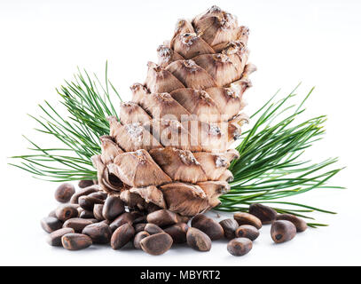 Pinienkernen Kegel und Pinienkerne auf dem weißen Hintergrund. Ökologische Lebensmittel. Stockfoto