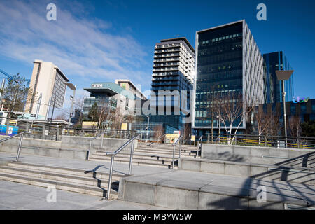 Sonniger Frühlingstag an MediaCityUK in Salford Quays, Manchester England England Stockfoto