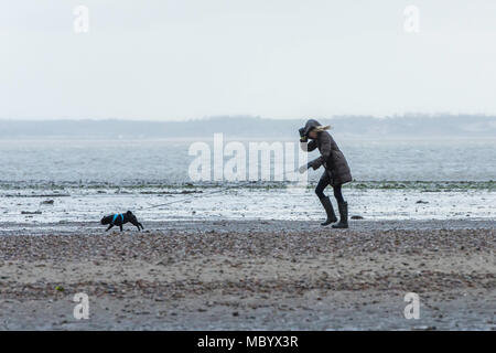 Eine Frau, die zu ihrem Hund an einem windigen Tag in Tankerton, in der Nähe von Whitstable, Kent, Großbritannien. Stockfoto