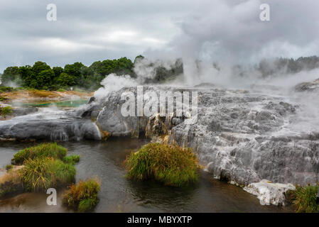 Spektakuläre geothermische Aktivität in Rotorua in North Island, Neuseeland Stockfoto