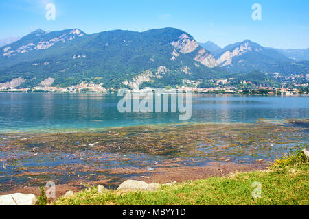 Schmutziges Wasser mit Algen am Comer See in Italien Stockfoto