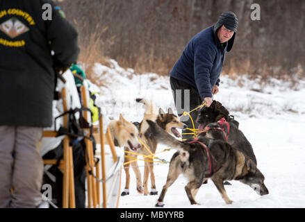 Ein Sled Dog Team bietet Fahrten zu Hillberg Skigebiet Besucher an Joint Base Elmendorf-Richardson, Alaska, 14.01.2018. Als Teil der Moral, Wohlfahrt und Erholung Programm bewirtet durch die 673 d Force Support Squadron und JBER Life Team, die hillberg Skigebiet bietet die mit Base Access eine Vielzahl von Wintersportmöglichkeiten und Veranstaltungen. (U.S. Air Force Foto von Alejandro Peña) Stockfoto