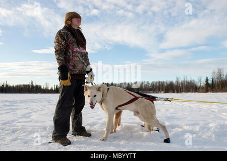 Ein Sled Dog Team bietet Fahrten zu Hillberg Skigebiet Besucher an Joint Base Elmendorf-Richardson, Alaska, 14.01.2018. Als Teil der Moral, Wohlfahrt und Erholung Programm bewirtet durch die 673 d Force Support Squadron und JBER Life Team, die hillberg Skigebiet bietet die mit Base Access eine Vielzahl von Wintersportmöglichkeiten und Veranstaltungen. (U.S. Air Force Foto von Alejandro Peña) Stockfoto