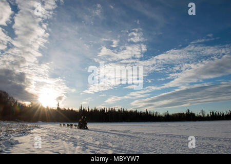 Ein Sled Dog Team bietet Fahrten zu Hillberg Skigebiet Besucher an Joint Base Elmendorf-Richardson, Alaska, 14.01.2018. Als Teil der Moral, Wohlfahrt und Erholung Programm bewirtet durch die 673 d Force Support Squadron und JBER Life Team, die hillberg Skigebiet bietet die mit Base Access eine Vielzahl von Wintersportmöglichkeiten und Veranstaltungen. (U.S. Air Force Foto von Alejandro Peña) Stockfoto