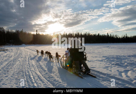 Ein Sled Dog Team bietet Fahrten zu Hillberg Skigebiet Besucher an Joint Base Elmendorf-Richardson, Alaska, 14.01.2018. Als Teil der Moral, Wohlfahrt und Erholung Programm bewirtet durch die 673 d Force Support Squadron und JBER Life Team, die hillberg Skigebiet bietet die mit Base Access eine Vielzahl von Wintersportmöglichkeiten und Veranstaltungen. (U.S. Air Force Foto von Alejandro Peña) Stockfoto