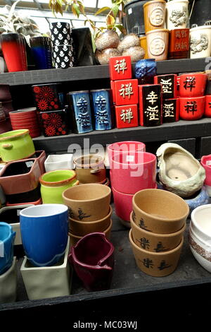 Vielzahl von Sukkulenten und Blumentöpfe für Verkauf bei der Gärtnerei Stockfoto