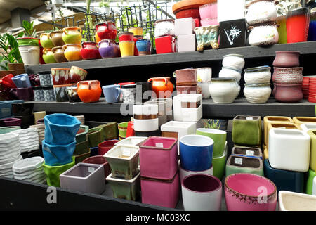 Vielzahl von Sukkulenten und Blumentöpfe für Verkauf bei der Gärtnerei Stockfoto