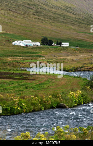 Jonasarlundur, Ackerland und Wasser Strom, Norden Islands Stockfoto