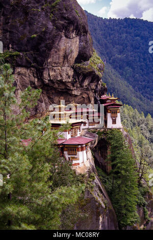 Taktsang Kloster oder Palphug's Tiger Nest: Rot und Gold Dächer, auf den Klippen des oberen Paro Tal thront, Bhutan Stockfoto