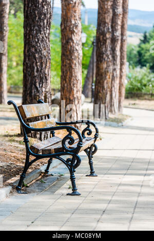 In der Nähe einer Parkbank auf einer Spur in einem öffentlichen Park an einem sonnigen Sommertag. Stockfoto