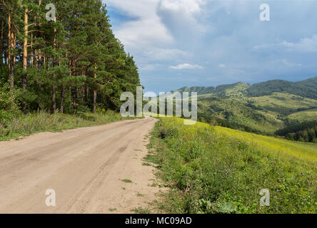 Schönen Sommer Blick auf der Straße im Altai Gebirge Stockfoto